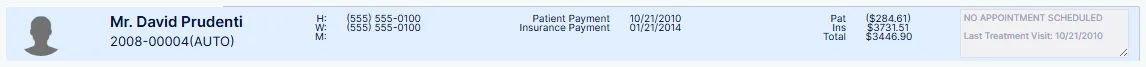 The patient header, shown above every tab once a chart is open