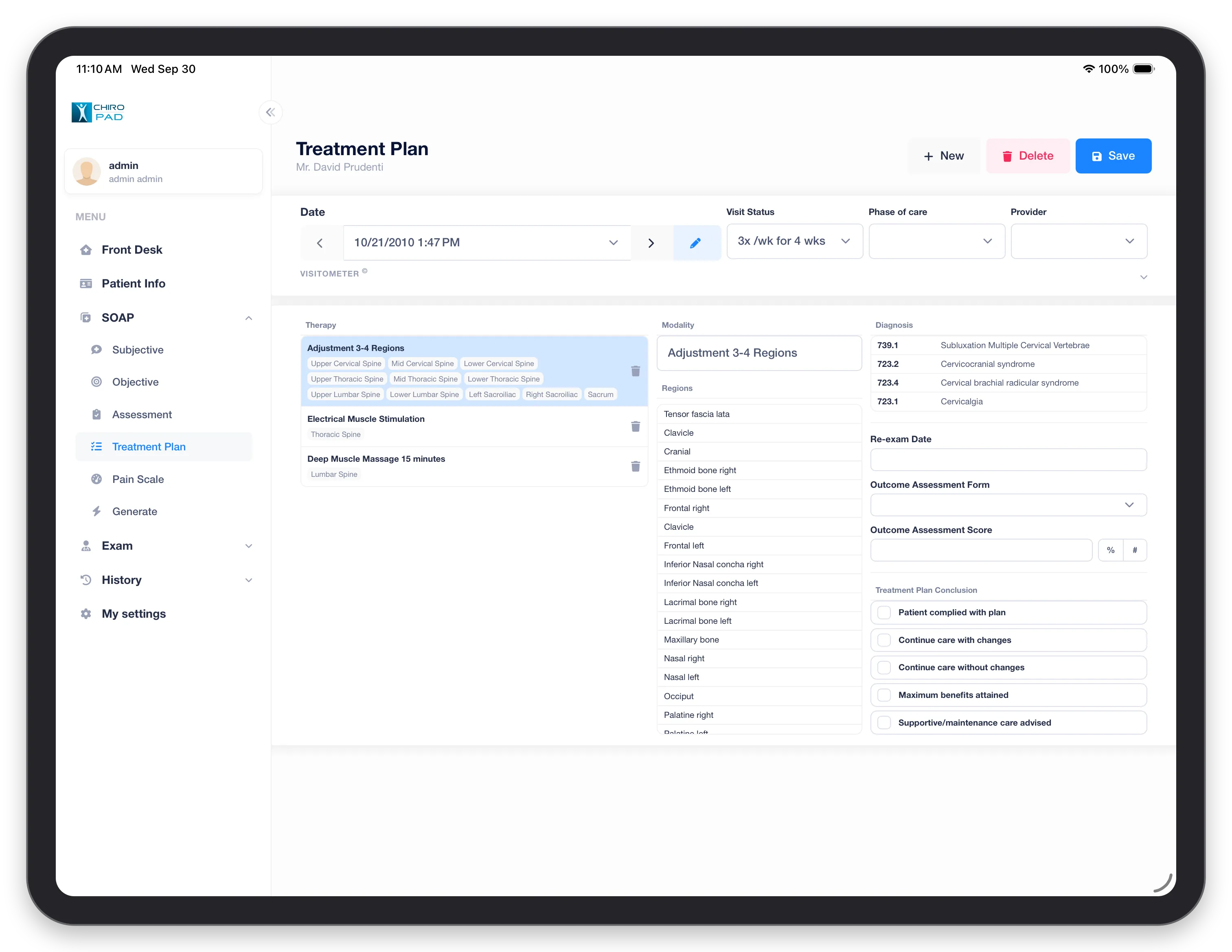 Treatment Plan in the mobile app: the therapies, their regions, and the diagnoses and conclusion