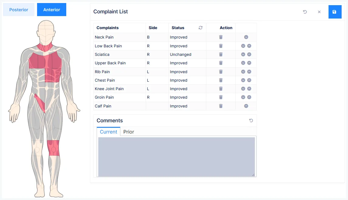 The Subjective screen: the body diagram and the complaint list
